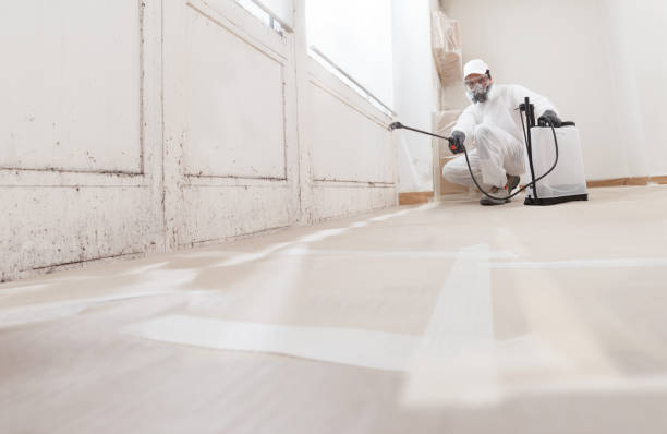 24/7 Emergency Mold Removal experts in Virginia, VA