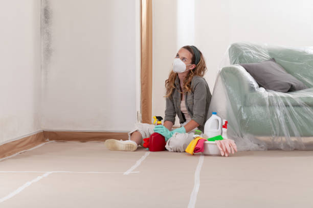 Reliable Mold Removal contractor in Virginia, VA by WQB Mold Removal